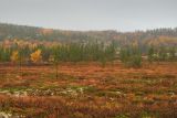 Image of landscape