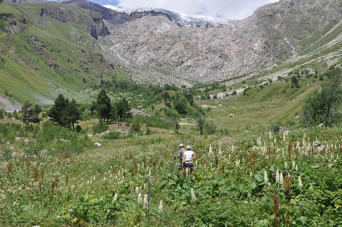 Долина реки Терскол, image of landscape/habitat.