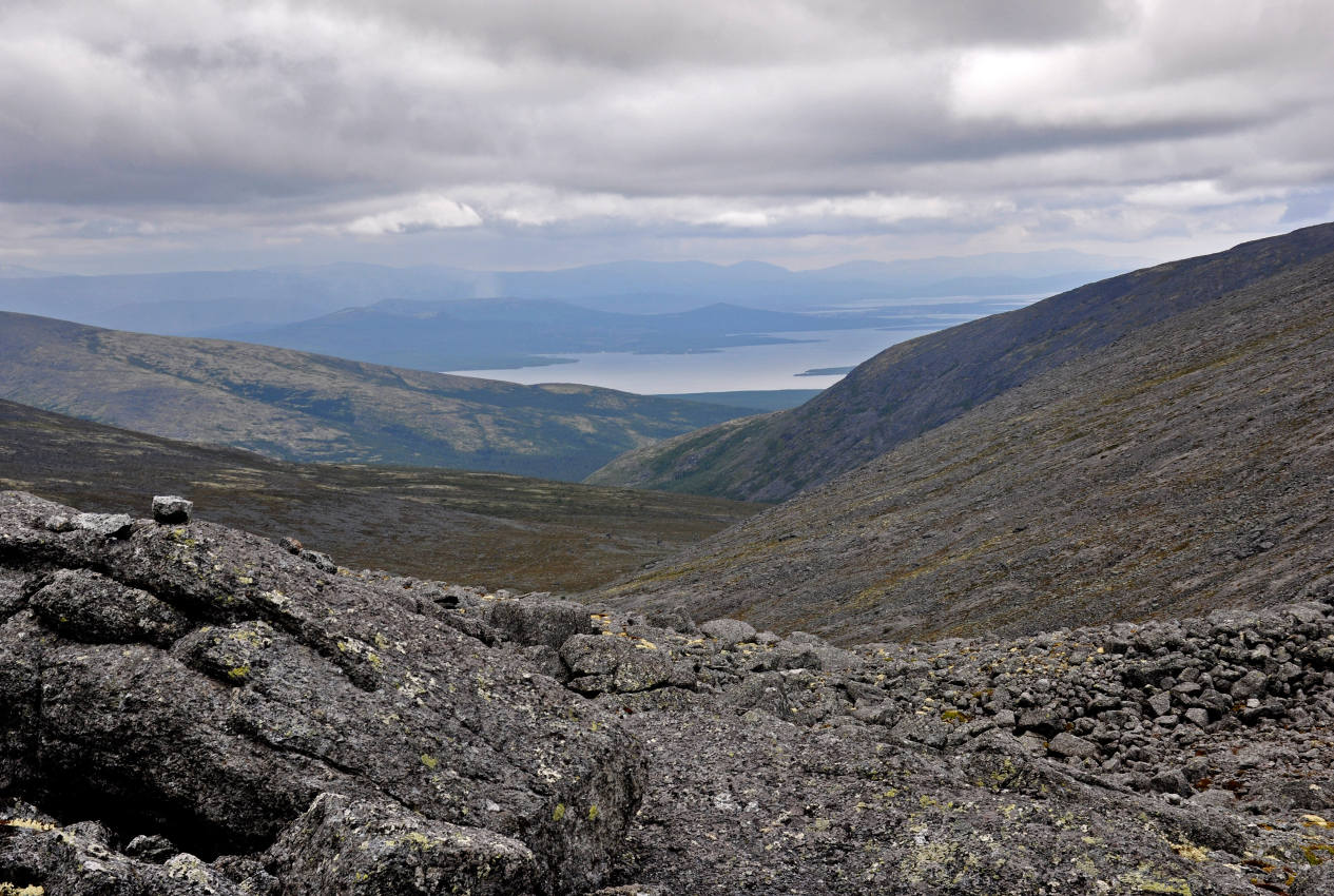 Перевал Южный Чорргор, image of landscape/habitat.