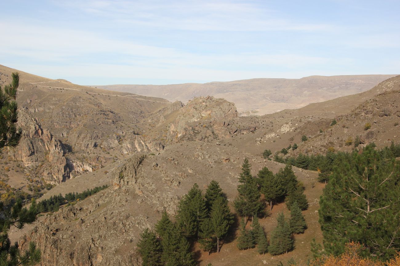 Окрестности Ванис Квабеби, image of landscape/habitat.