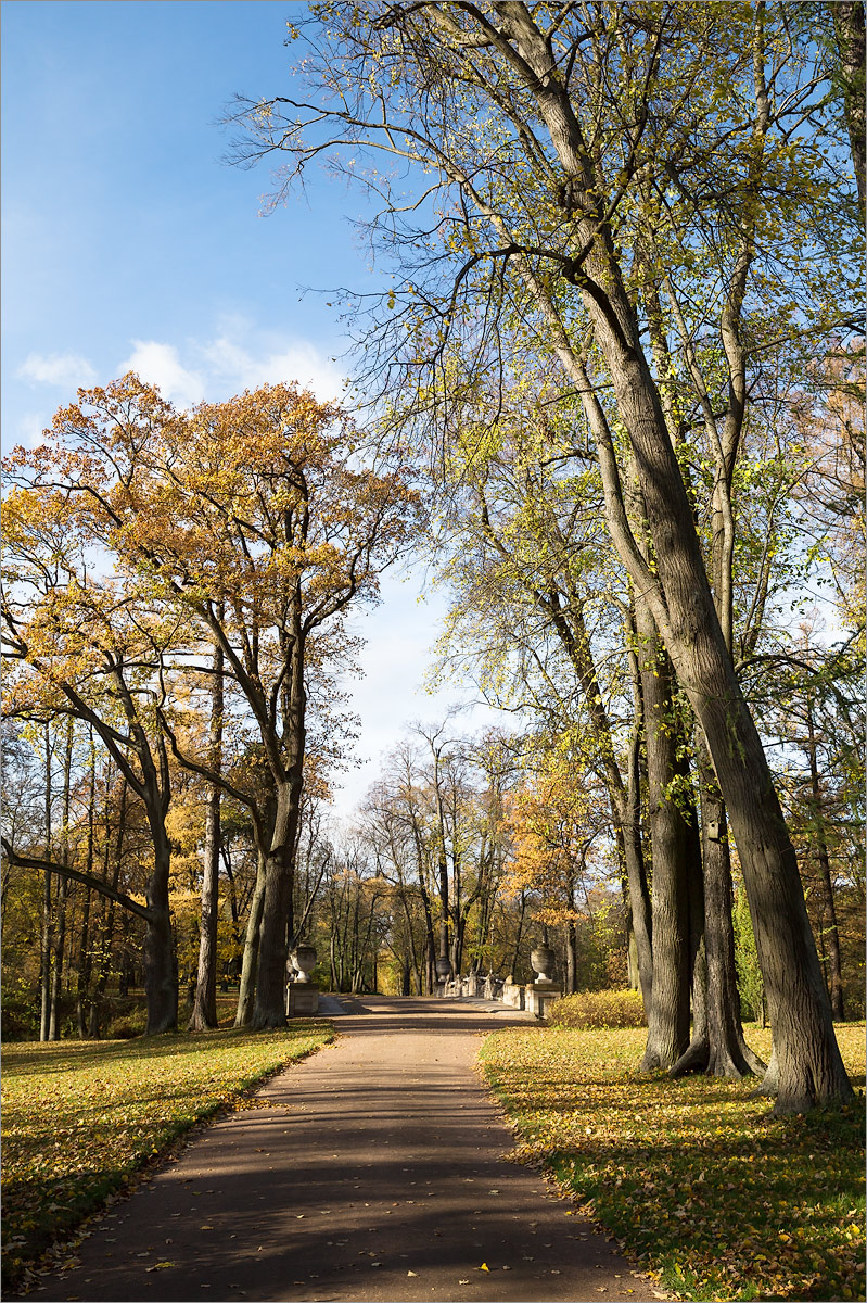 Парк "Александрия", image of landscape/habitat.