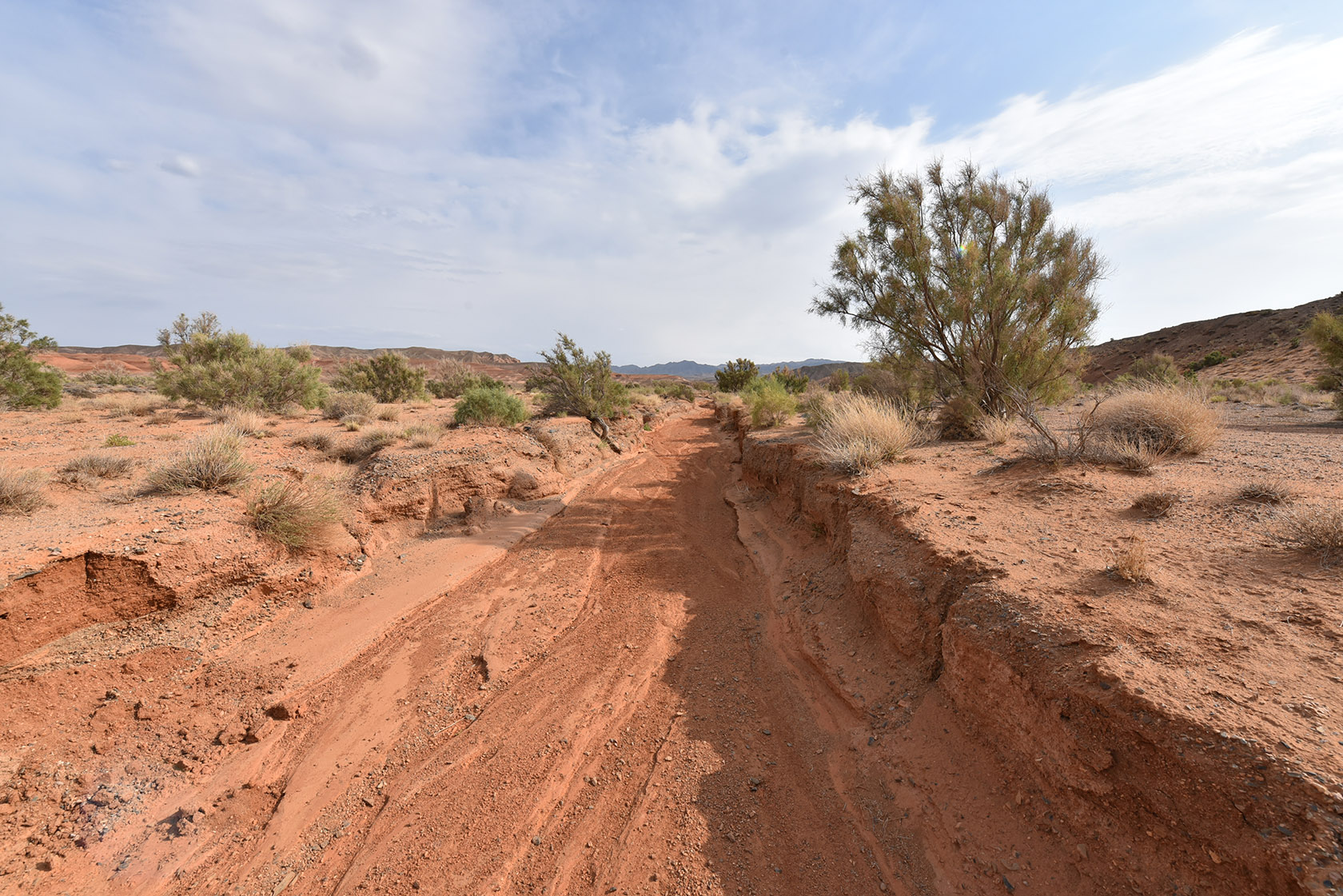 Горы Улькен-Богуты, image of landscape/habitat.
