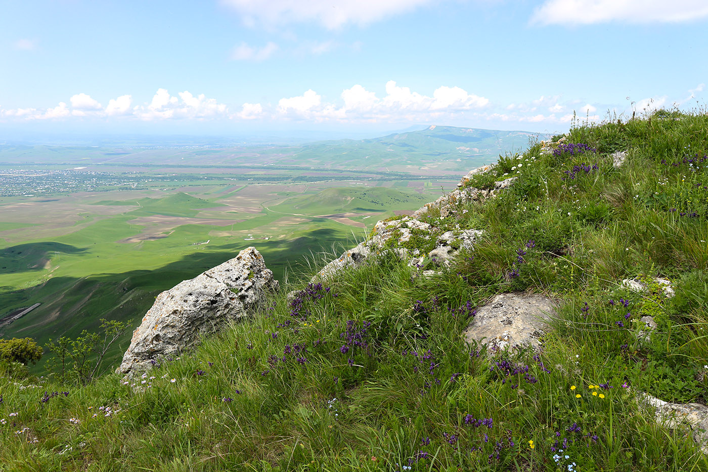 Джангур, image of landscape/habitat.