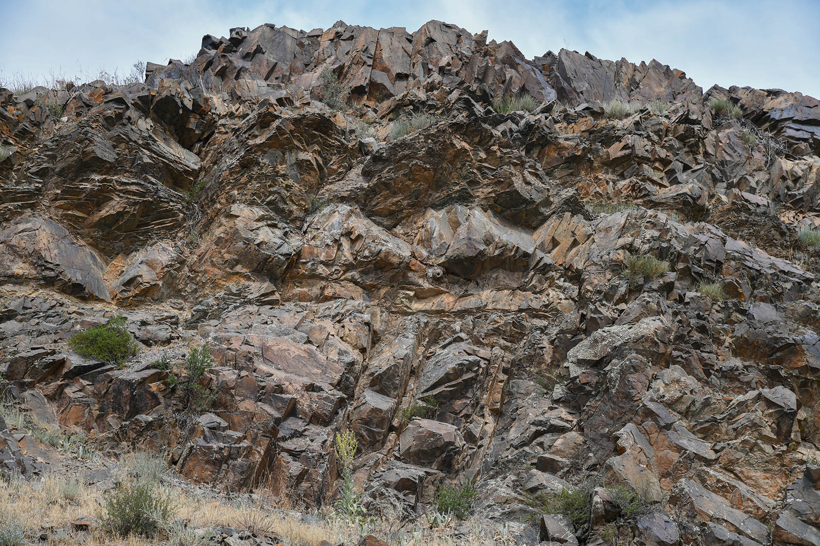 Тамгалы (Танбалы), image of landscape/habitat.