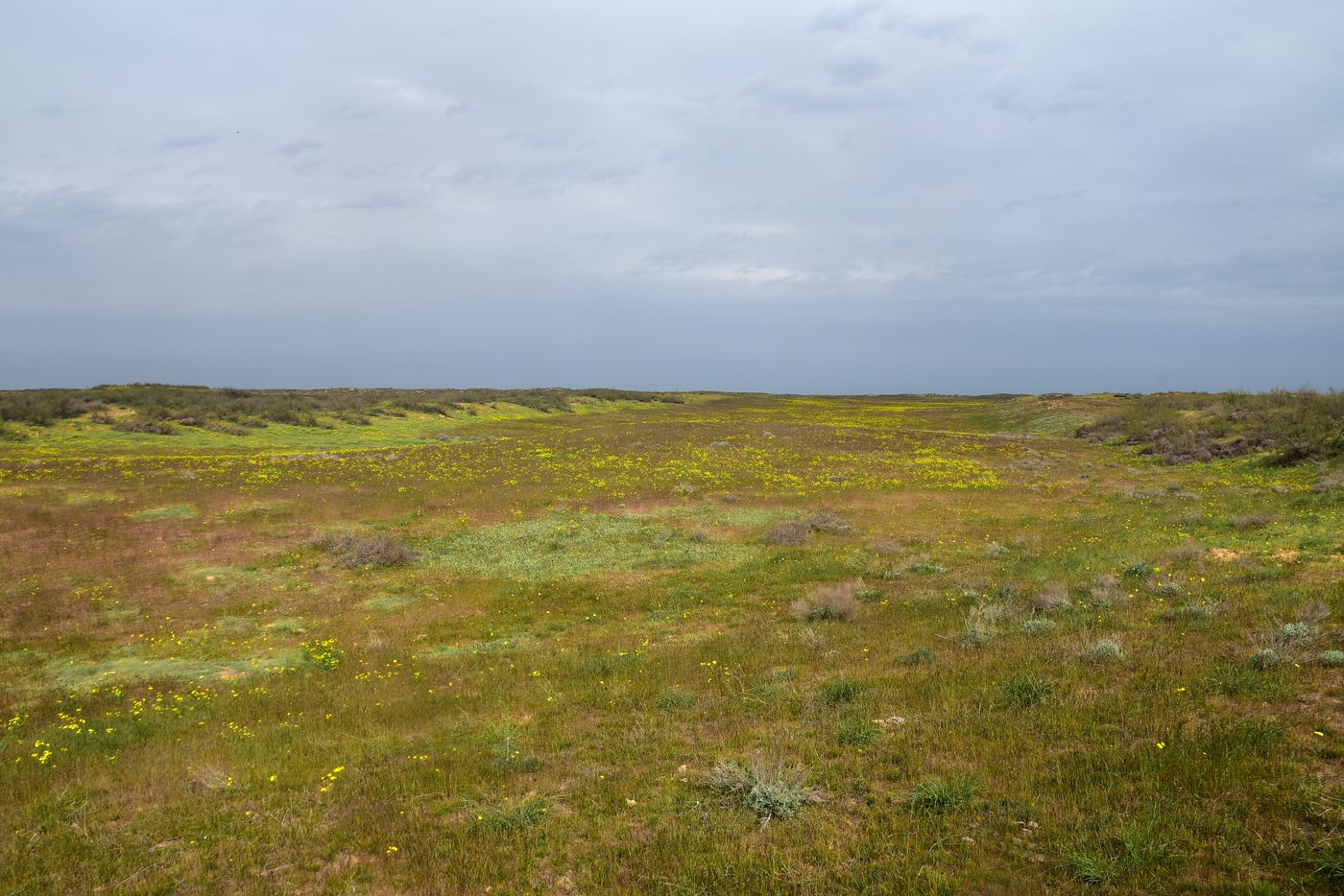Бархан Большой Брат, image of landscape/habitat.