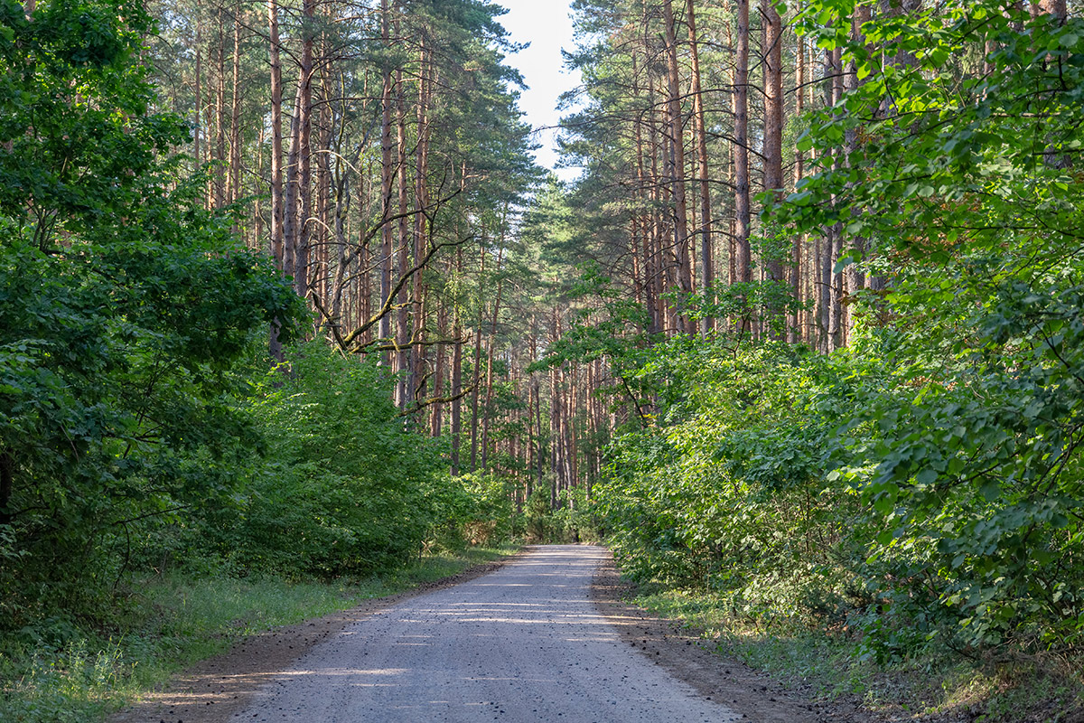 Бобинка и окрестности, image of landscape/habitat.