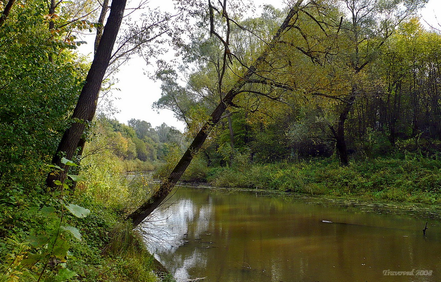 Соколова поляна, image of landscape/habitat.