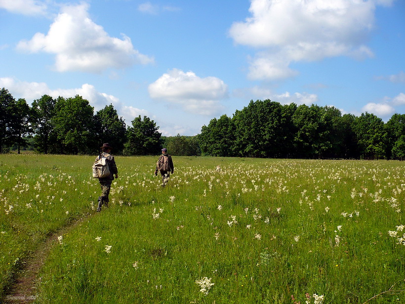 Соколова поляна, image of landscape/habitat.