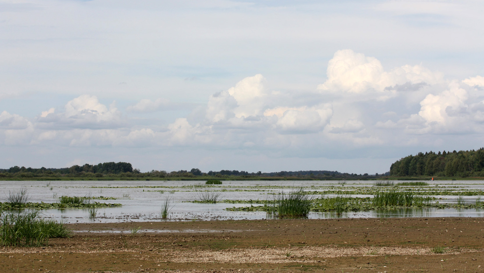 Костромское водохранилище, image of landscape/habitat.