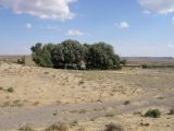 Image of landscape