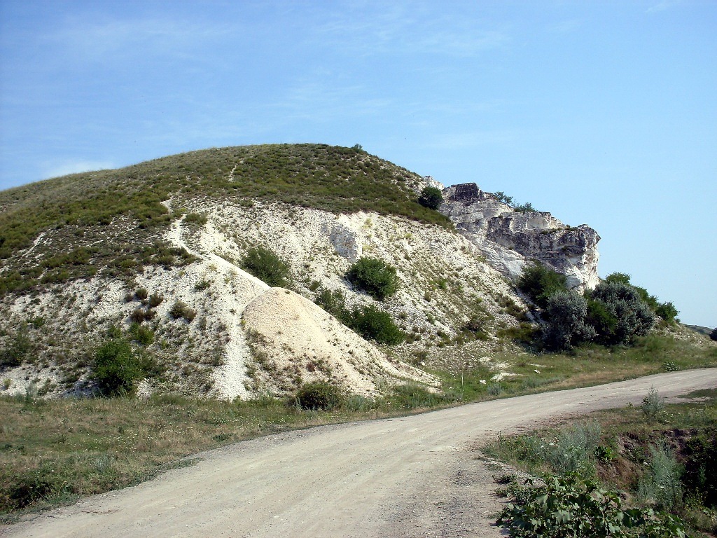 Лысогорка, image of landscape/habitat.