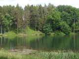 Landscape image