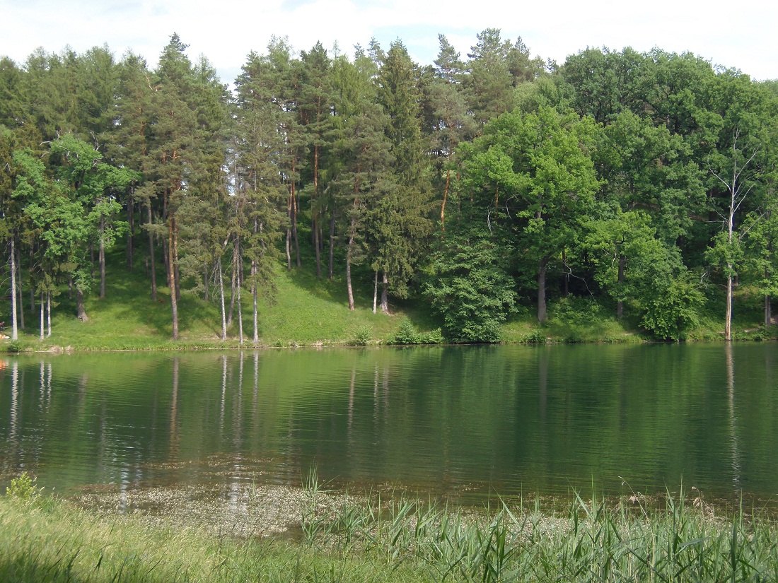 Тростянец, image of landscape/habitat.
