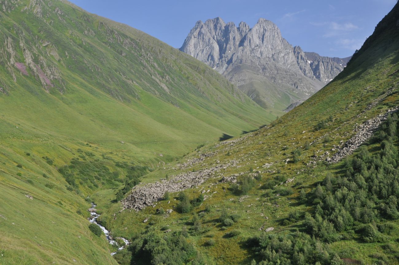 Долина ручья Чаухицхали, image of landscape/habitat.