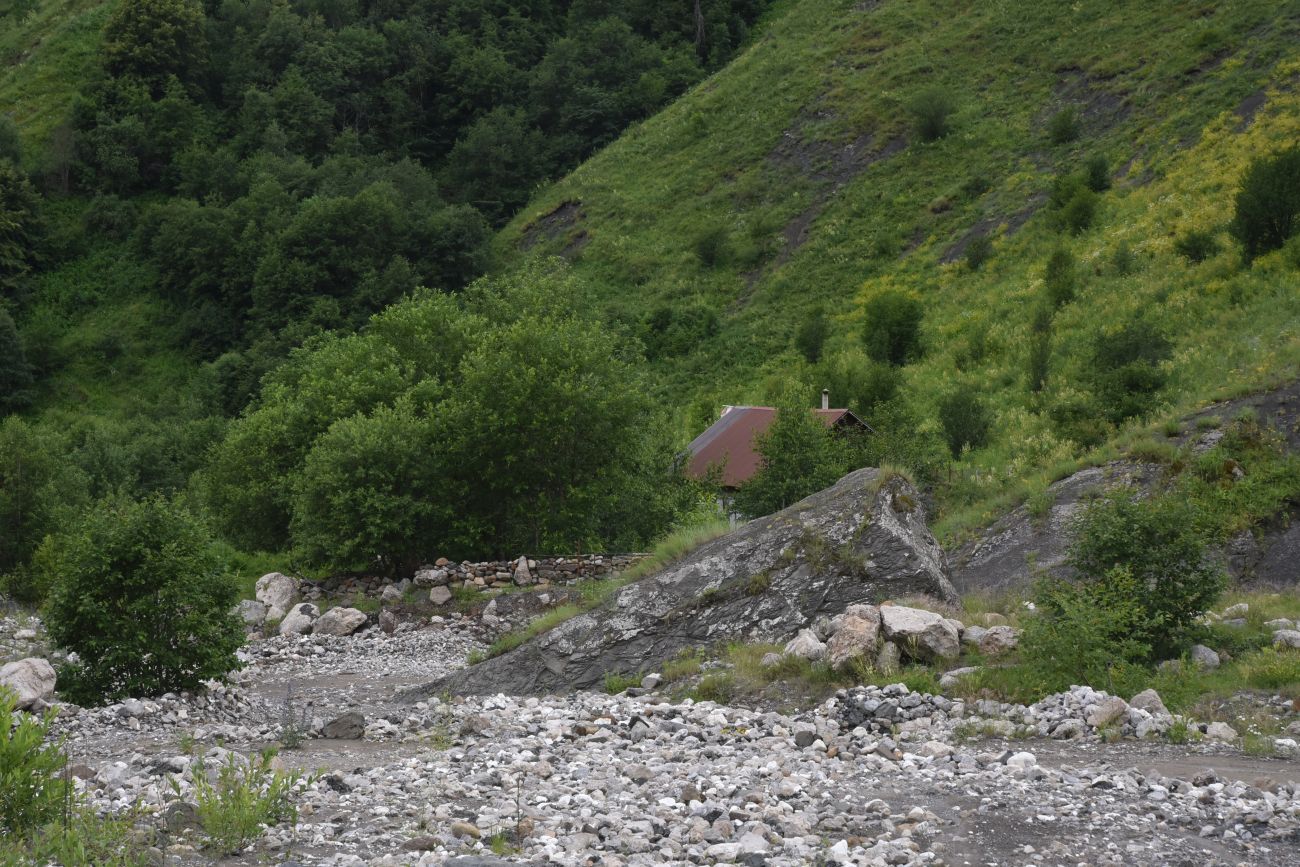 Левый приток реки Цесиахк, image of landscape/habitat.