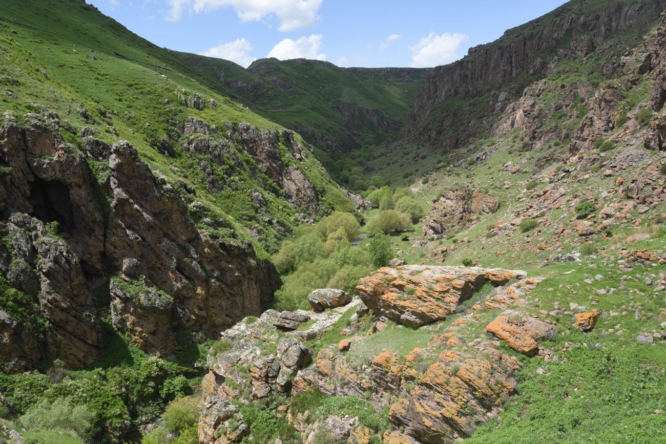 Окрестности монастыря Хцконк, image of landscape/habitat.