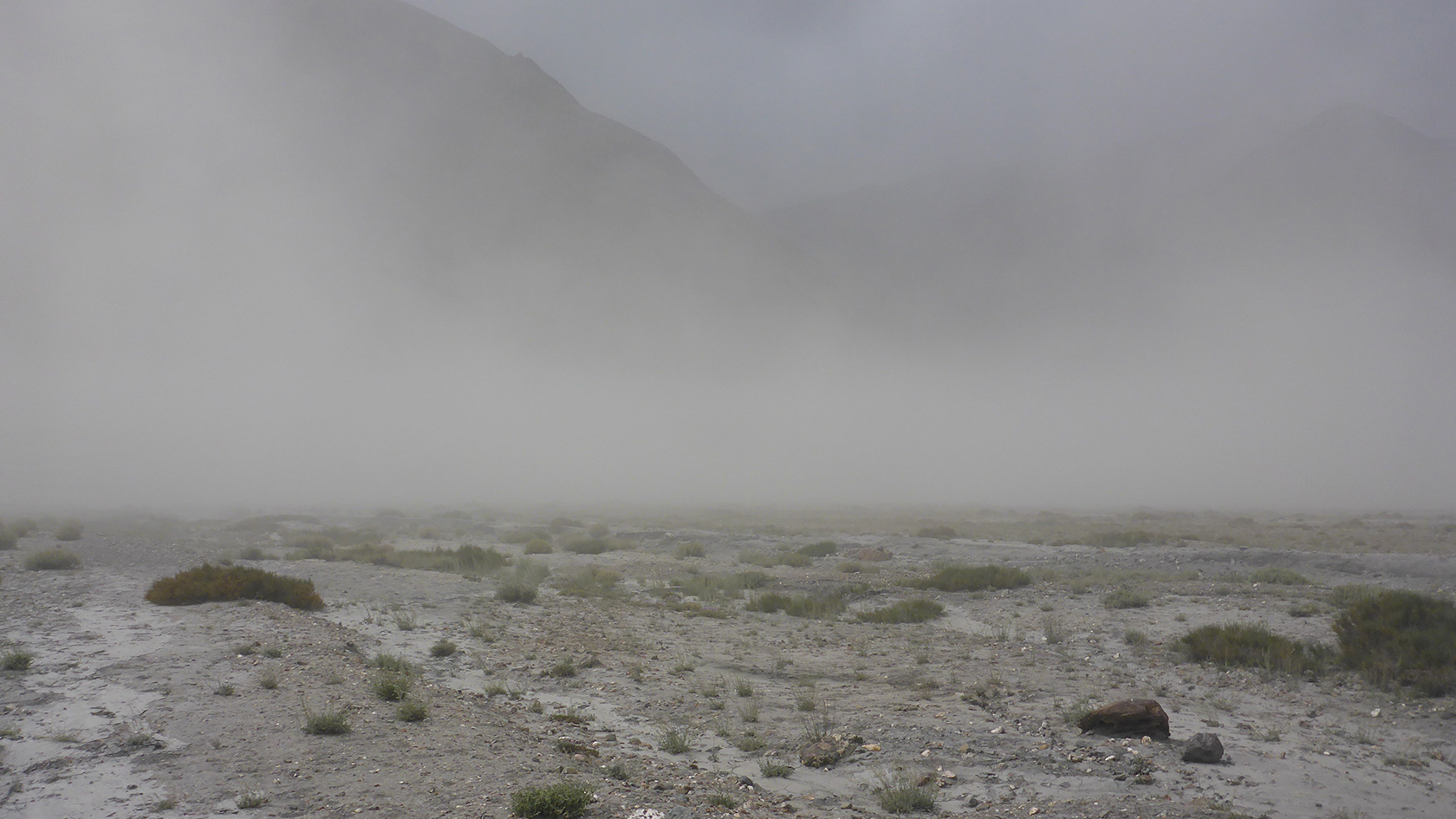 Танымас, image of landscape/habitat.