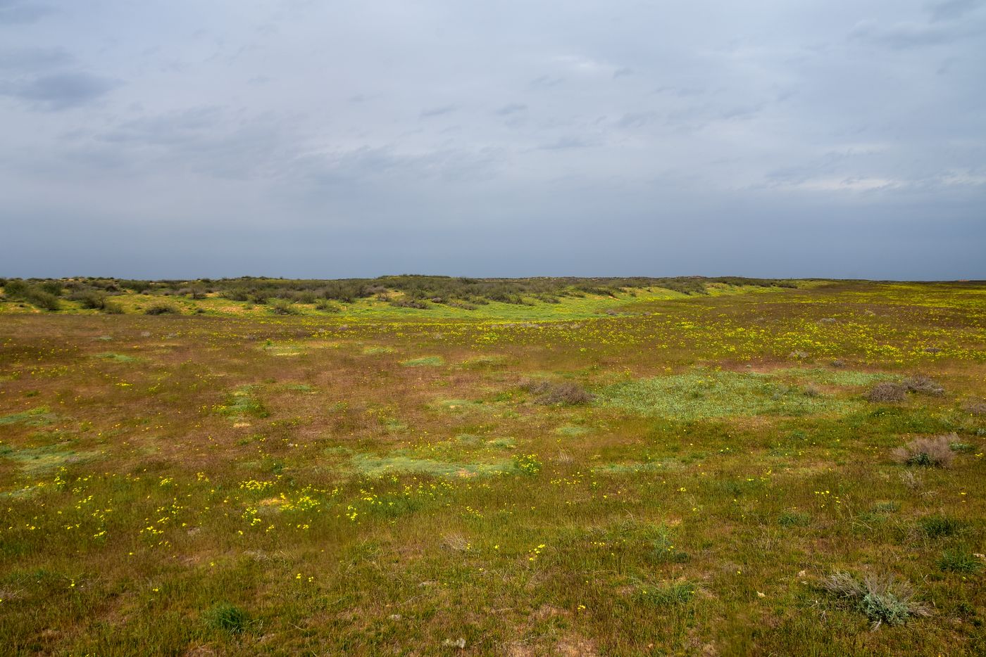 Бархан Большой Брат, image of landscape/habitat.