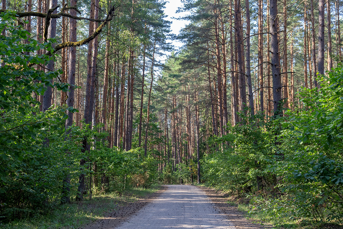 Бобинка и окрестности, image of landscape/habitat.