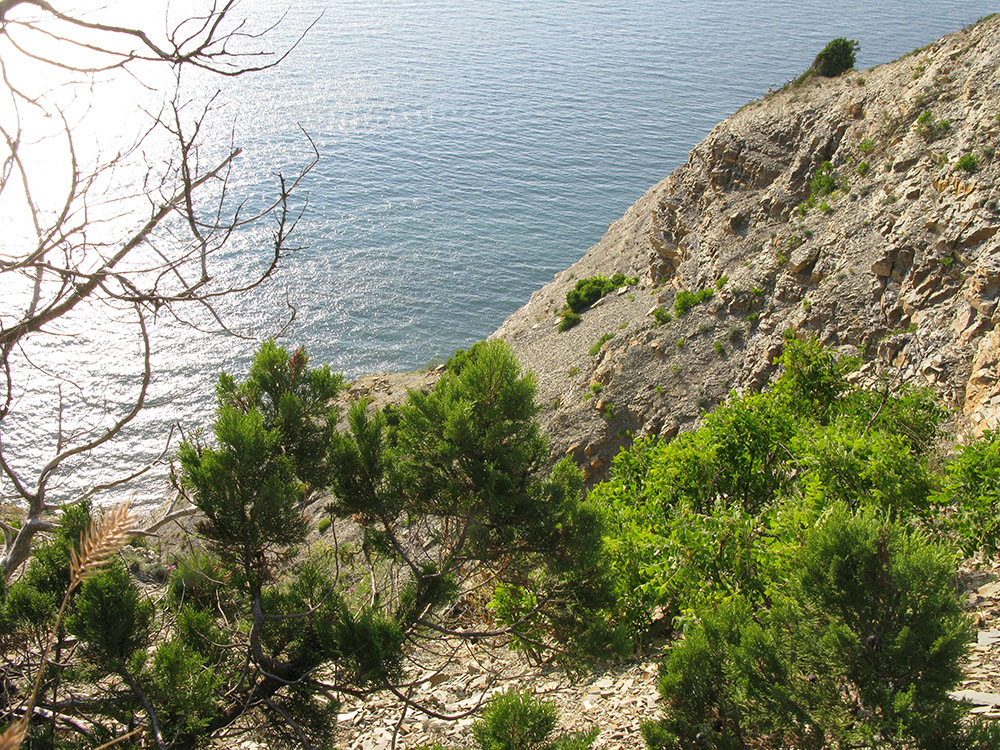 Большой Утриш, гора Солдатская, image of landscape/habitat.