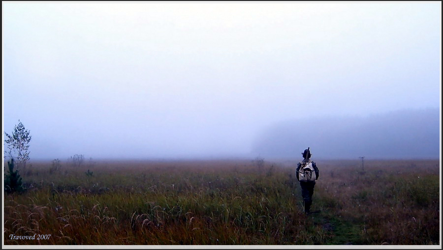 Соколова поляна, image of landscape/habitat.