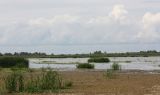 Image of landscape