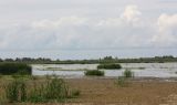 Костромское водохранилище, изображение ландшафта.