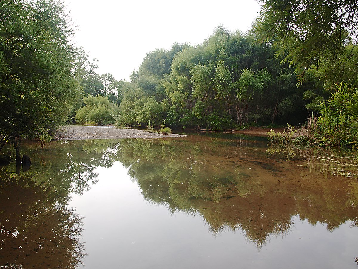 Милоградово, image of landscape/habitat.