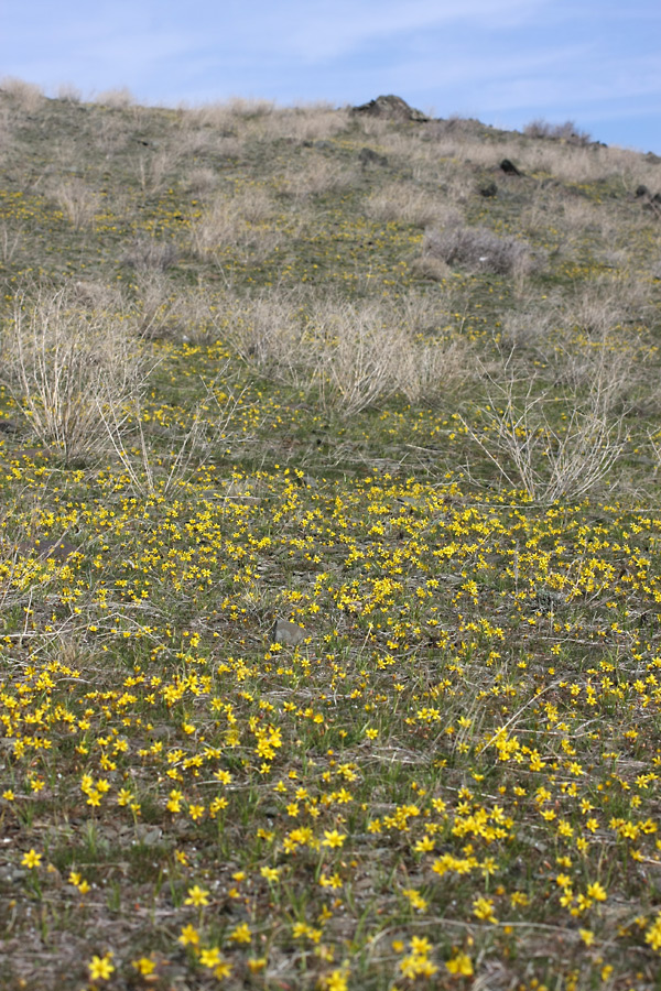 Куюк, image of landscape/habitat.