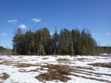 Image of landscape