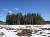 Лаппелово, image of landscape/habitat.