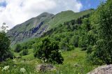 Гора Кубус, image of landscape/habitat.