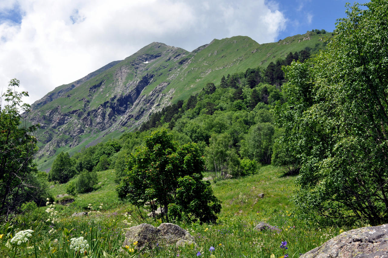 Гора Кубус, image of landscape/habitat.