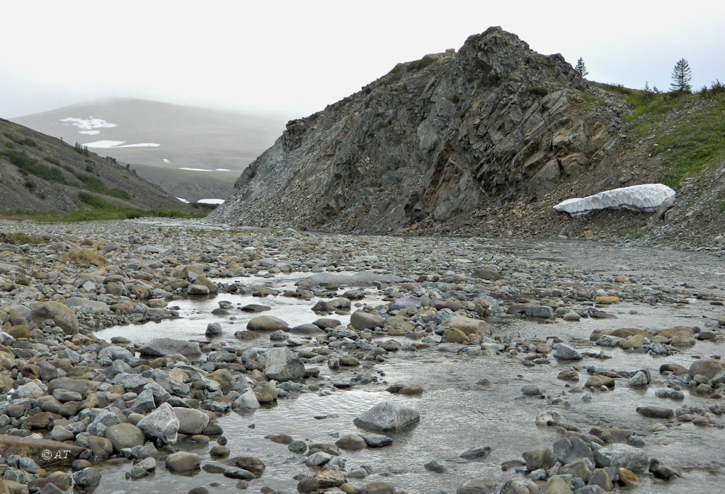 Кершор, image of landscape/habitat.