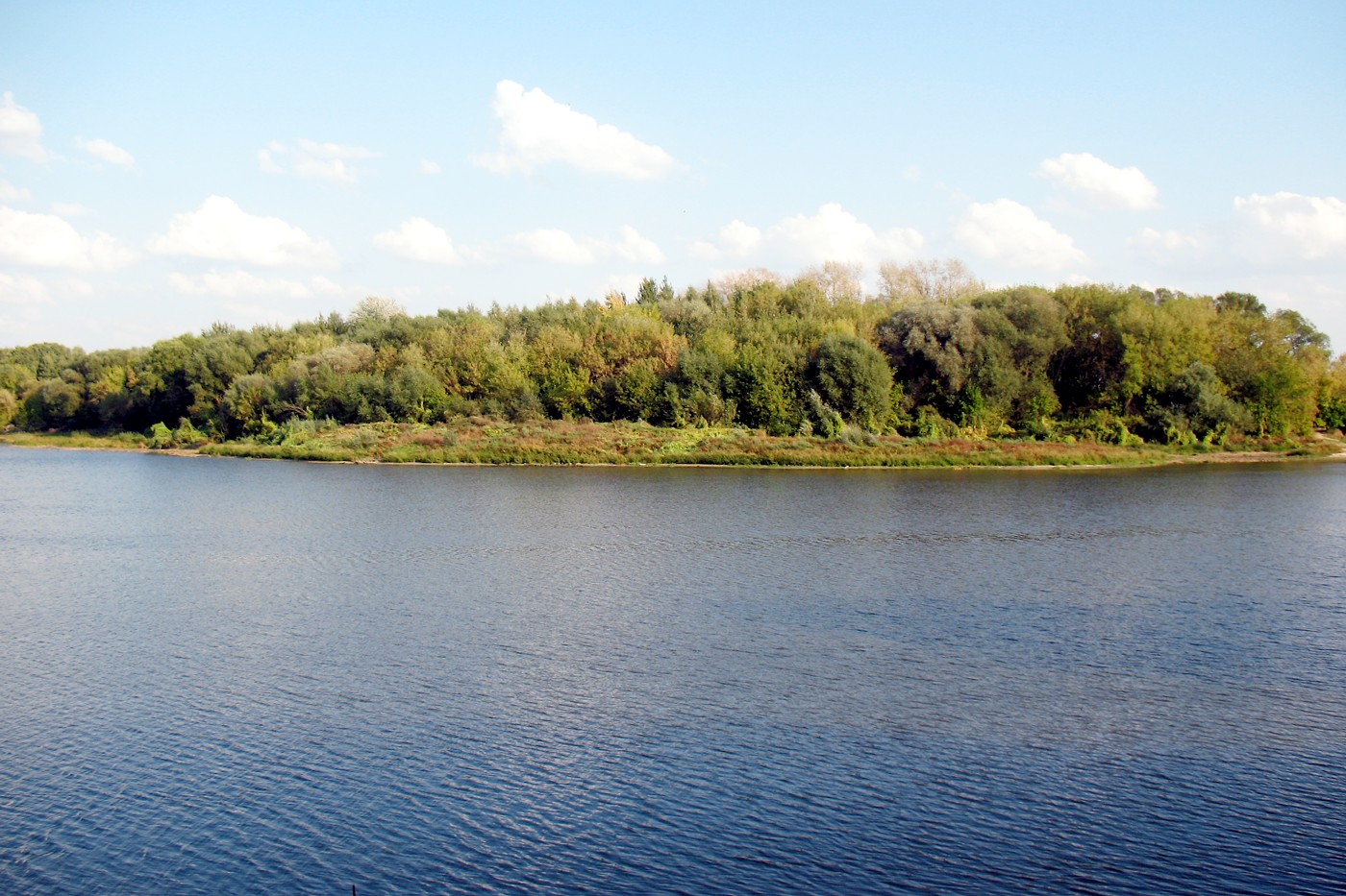 Р. Нара в черте г. Серпухов, image of landscape/habitat.