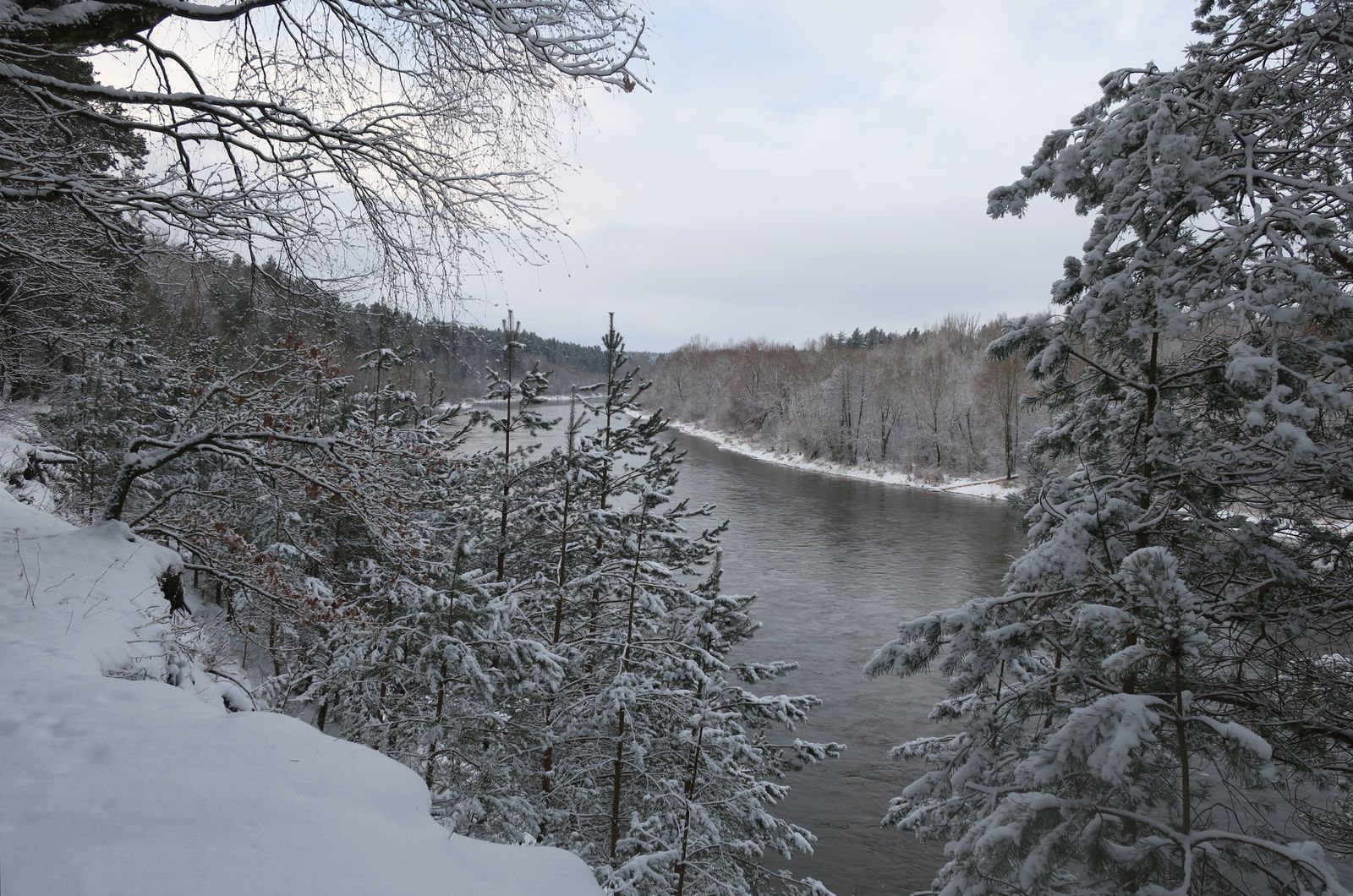 Лесопарк Пышки, image of landscape/habitat.