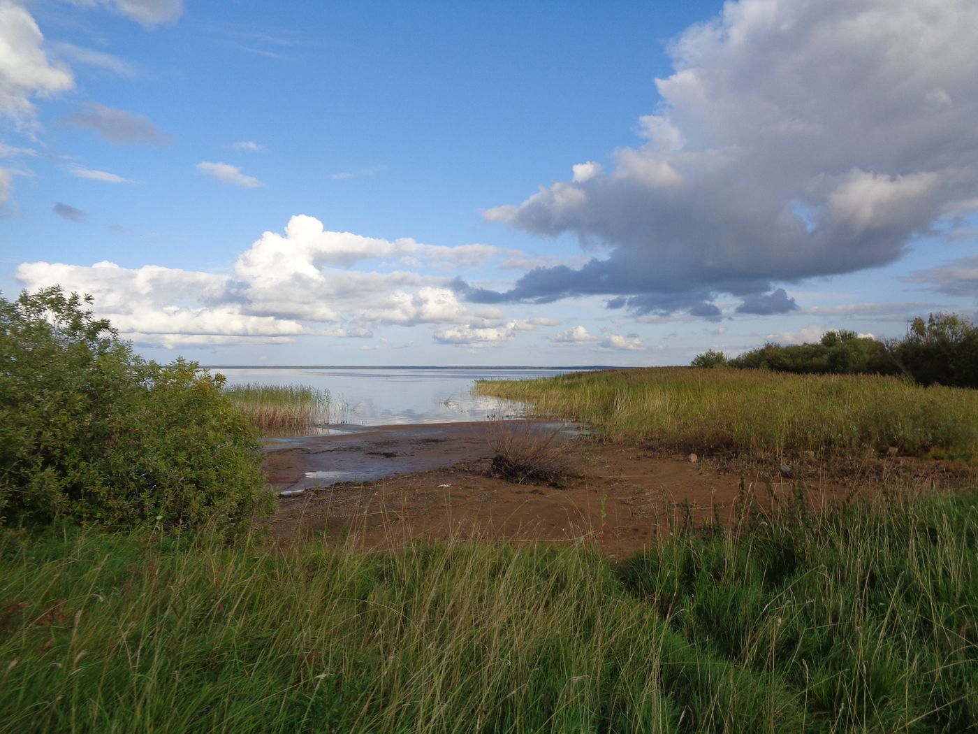 Остров Кирики, image of landscape/habitat.