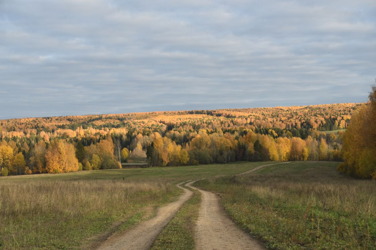 Никольское и окрестности, image of landscape/habitat.