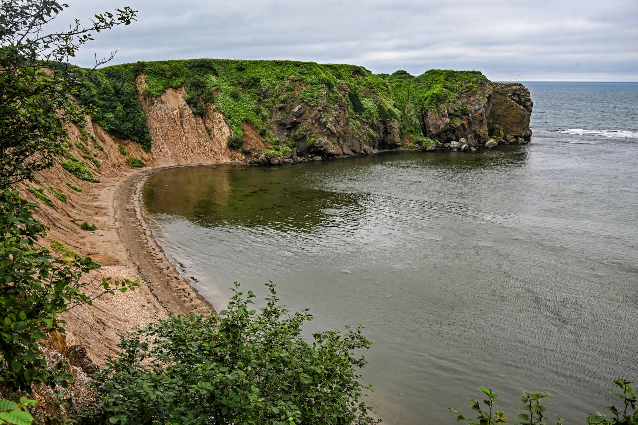 Бухта Тихая, image of landscape/habitat.