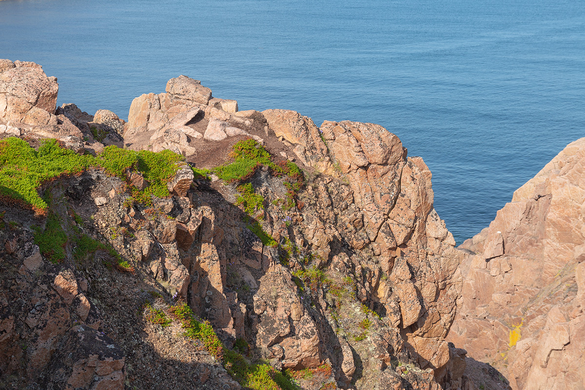 Териберка, image of landscape/habitat.