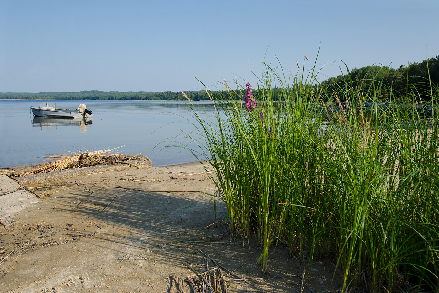 Пигматка, image of landscape/habitat.