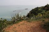 Image of landscape