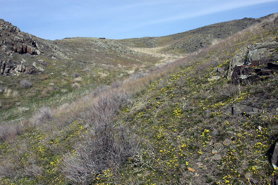 Куюк, image of landscape/habitat.