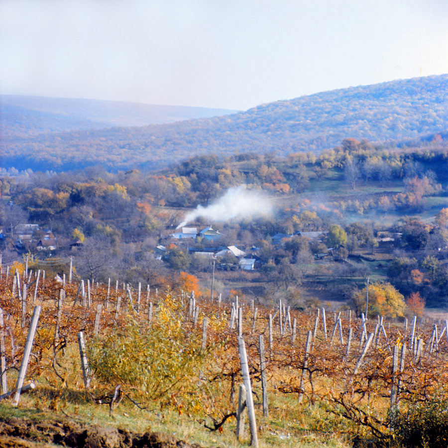 По дороге на Каприяны, image of landscape/habitat.