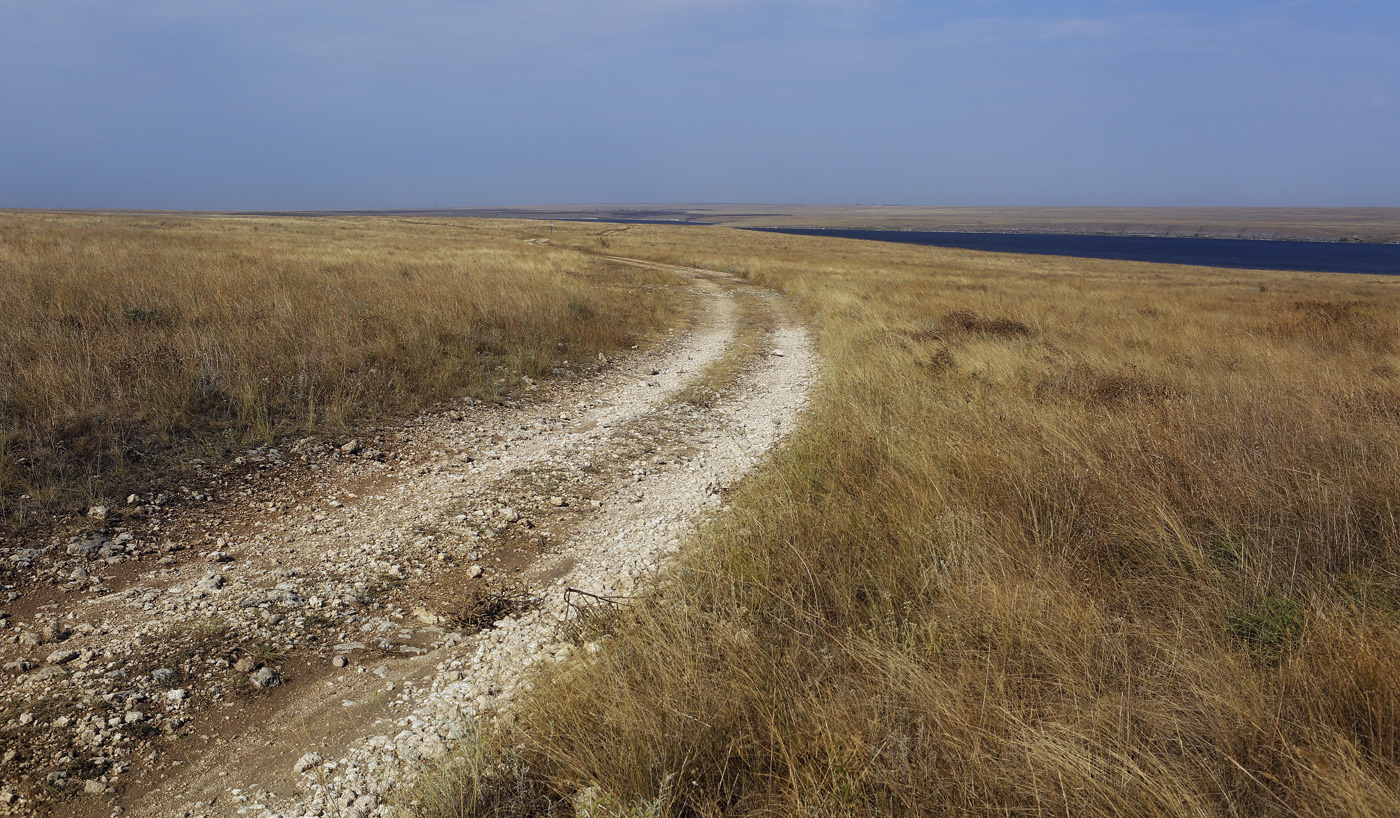 Новоозёрное и окрестности, image of landscape/habitat.