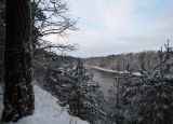 Лесопарк Пышки, image of landscape/habitat.