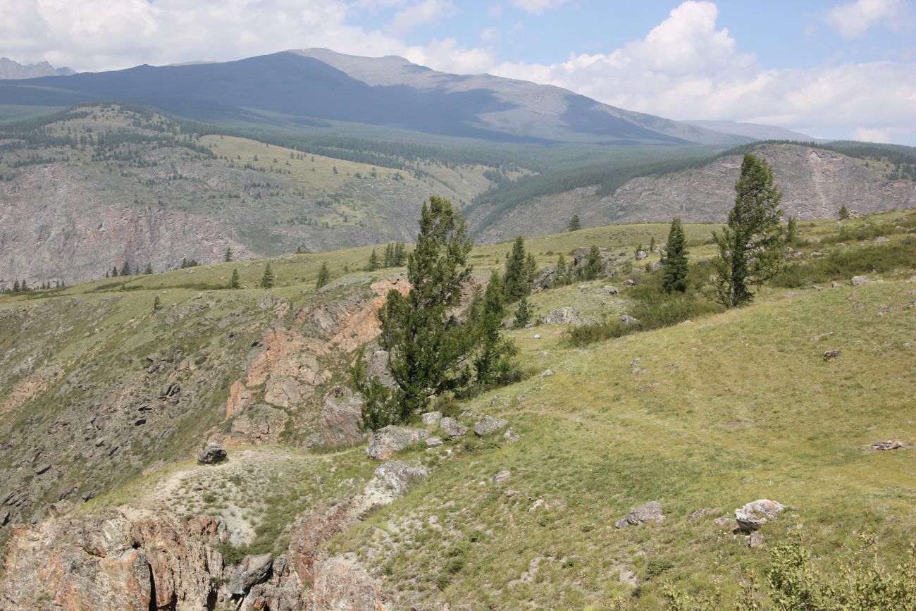 Перевал Кату-Ярык, image of landscape/habitat.