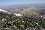 Горы Сартур, image of landscape/habitat.