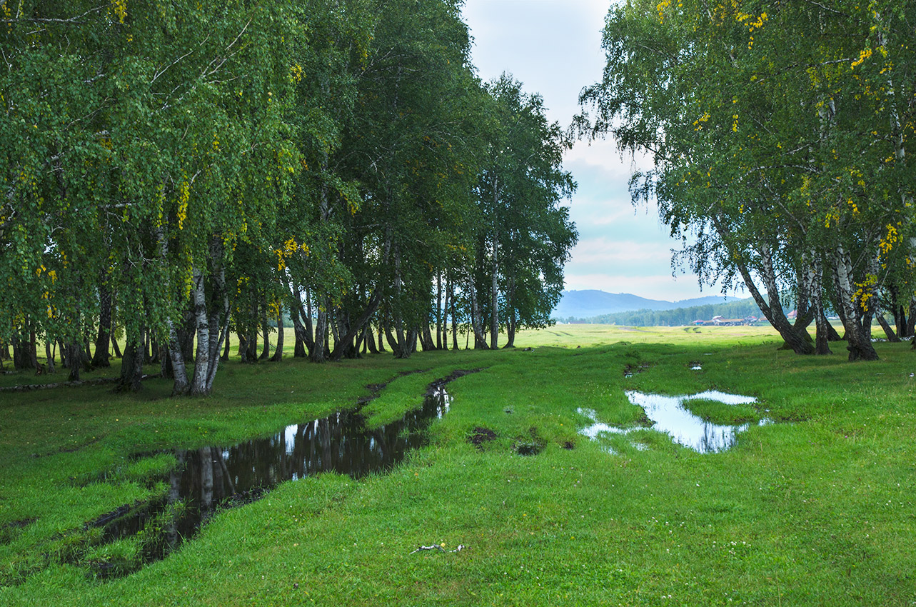 Яльчигулово и окрестности, image of landscape/habitat.