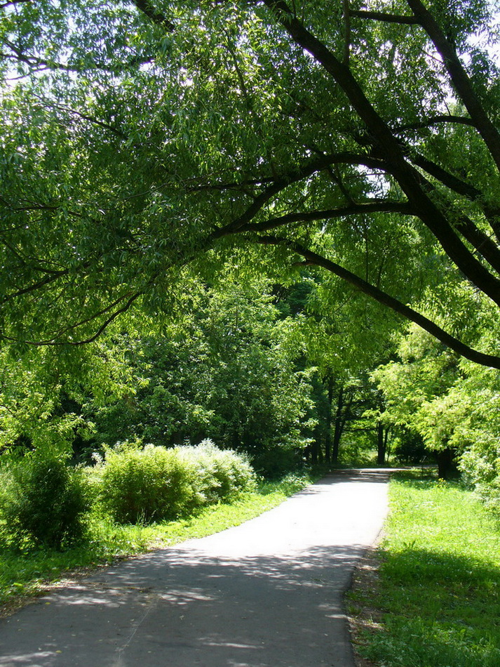 Переславский дендросад, image of landscape/habitat.